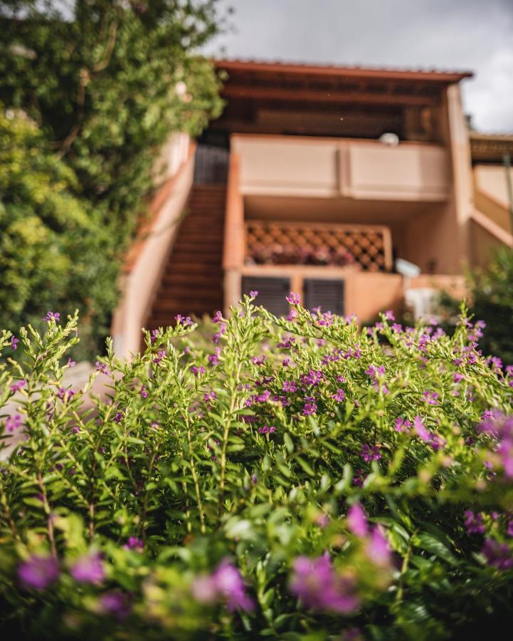 Purple House, 30M To Beach Pula Exterior photo